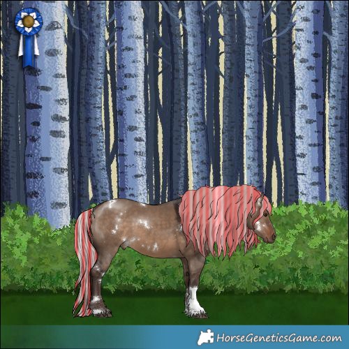 Horse Color:Painted White Spotted Silver Brown Dun Tobiano 