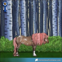 Horse Color:Painted White Spotted Silver Brown Dun Tobiano