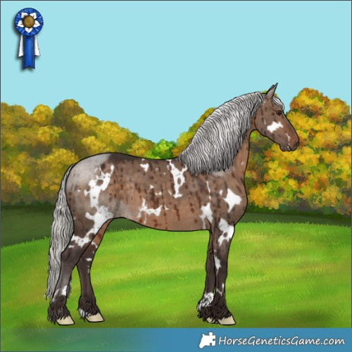 Horse Color:White Spotted Silver Brown Dun Brindle 