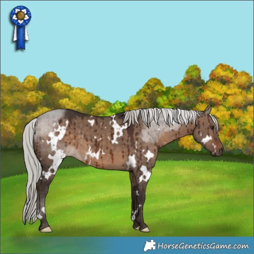 Horse Color:White Spotted Silver Brown Dun Brindle 