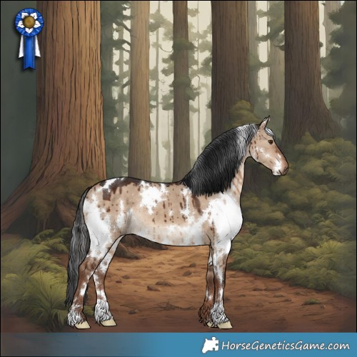 Horse Color:White Spotted Liver Red Dun Brindle 