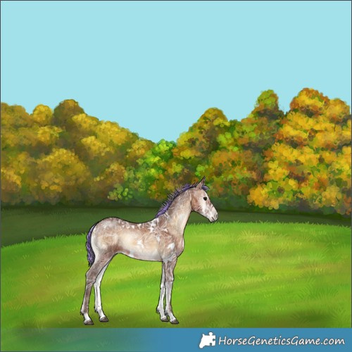 Horse Color:Painted White Spotted Silver Brown Ice Onyx