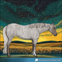 Horse Color:Silver Blue Roan Sabino 