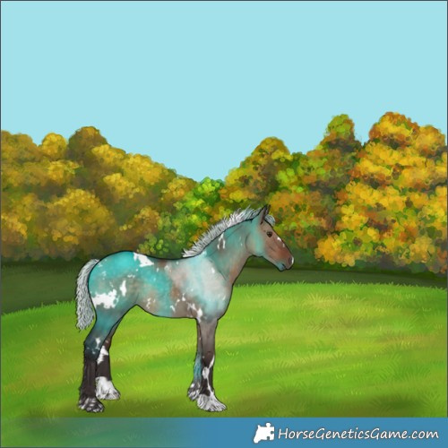 Horse Color:White Spotted Silver Brown Dun 