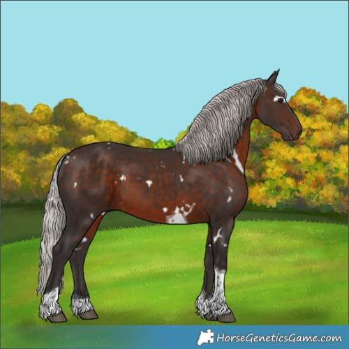 Horse Color:White Spotted Silver Brown Tobiano 
