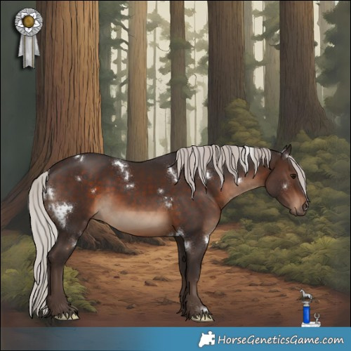Horse Color:White Spotted Silver Brown Rabicano 