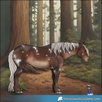 Horse Color:White Spotted Silver Brown Rabicano 