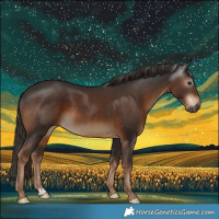 Horse Color:Gray Liver Chestnut Rabicano 