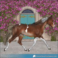 Horse Color:Liver Chestnut Tobiano Rabicano 