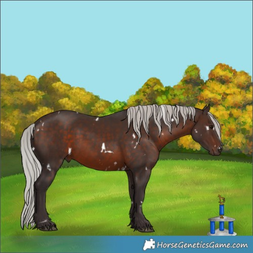 Horse Color:White Spotted Silver Brown 