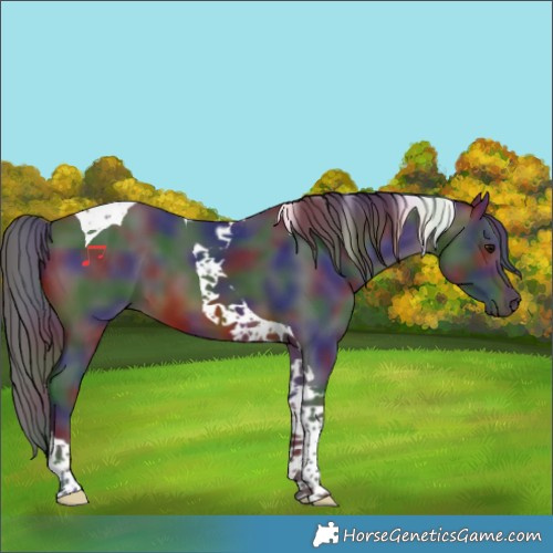 Horse Color:Nacre Brown Tobiano 