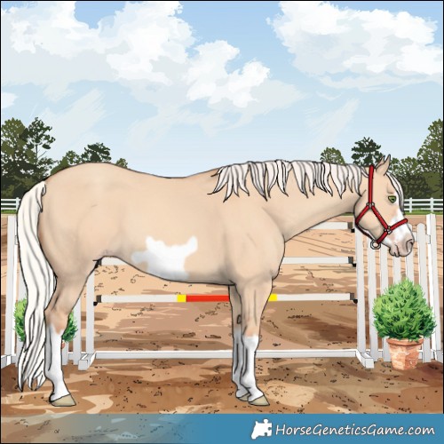 Horse Color:Silver Classic Champagne Dun Splash Frame