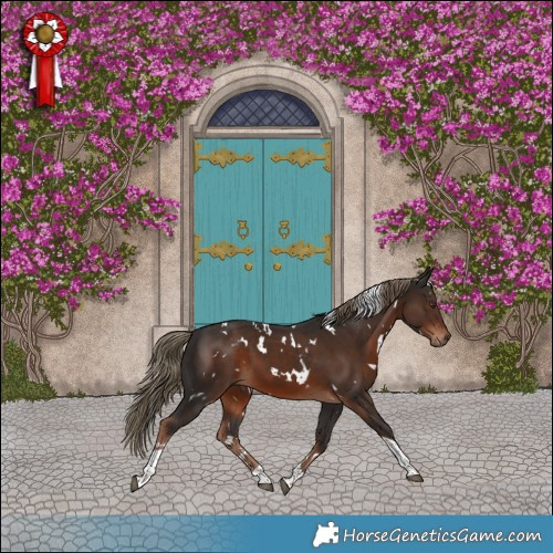 Horse Color:White Spotted Liver Chestnut Tobiano 