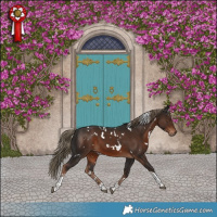 Horse Color:White Spotted Liver Chestnut Tobiano 