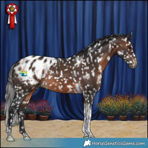 Horse Color:Brown Tobiano Blanket Rabicano 