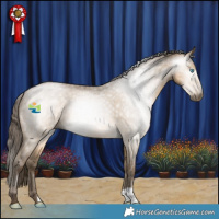 Horse Color:Gray Buckskin Snowdrop Dun 