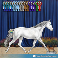 Horse Color:Gray Amber Cream Champagne Dun Splash Blanket 