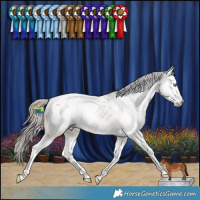 Horse Color:Gray Amber Cream Champagne Dun Splash Appaloosa 