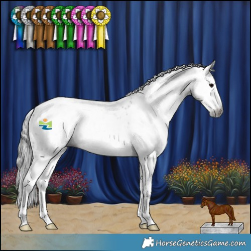 Horse Color:Gray White Spotted Grullo Splash Leopard Rabicano 