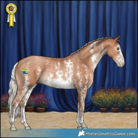 Horse Color:Silver Black Pearl Sabino 