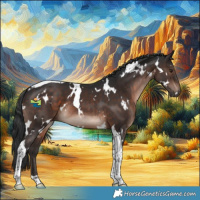 Horse Color:White Spotted Brown Tobiano 