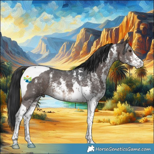 Horse Color:Brown Mushroom Sabino Tobiano 
