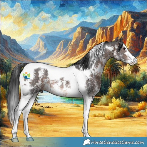 Horse Color:Brown Mushroom Sabino Tobiano 