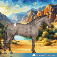 Horse Color:Liver Red Dun Appaloosa Brindle