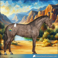 Horse Color:Liver Red Dun Appaloosa Brindle 