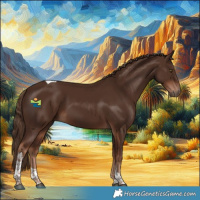 Horse Color:Liver Chestnut Tobiano 