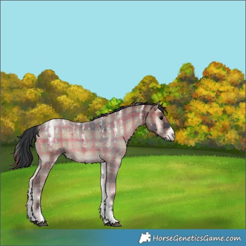 Horse Color:Powder White Plaid  Blue Onyx 