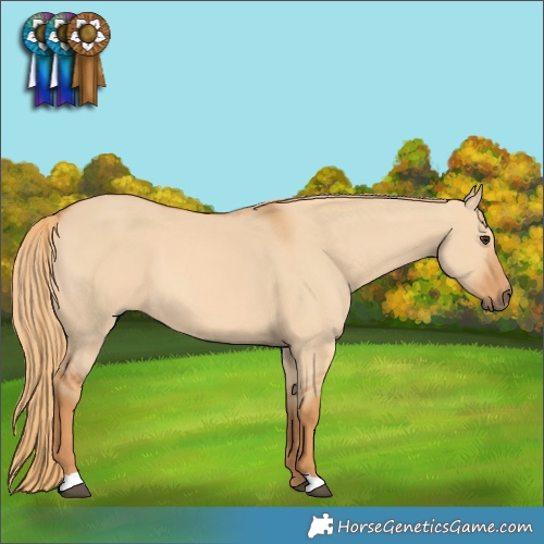 Horse Color:Red Dun 
