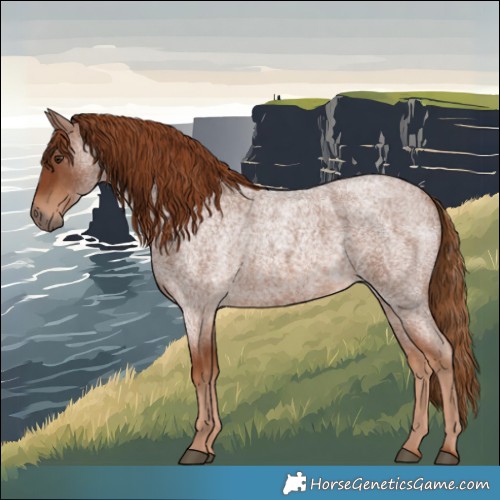 Horse Color:Red Roan 