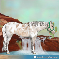 Horse Color:White Spotted Silver Brown Dun Blanket