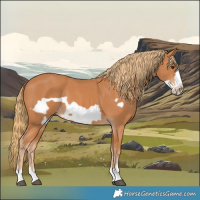 Horse Color:Chestnut Frame