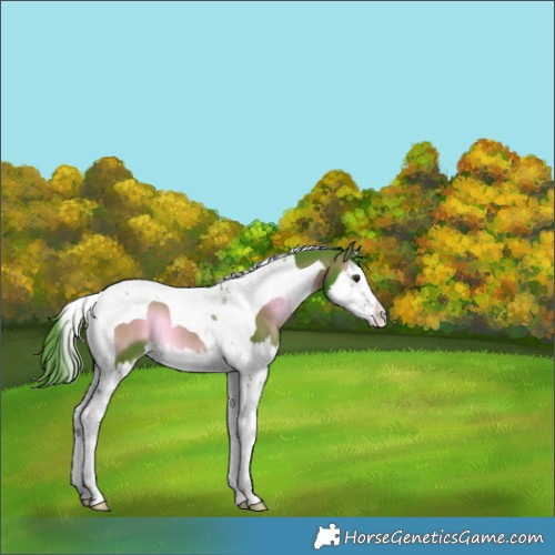 Horse Color:Watercolor Red Onyx Splash Tobiano 