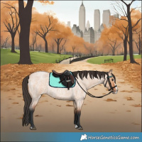 Horse Color:Bay Roan Dun Splash