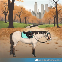 Horse Color:Bay Roan Dun Splash 