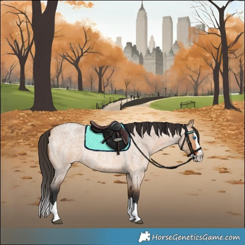 Horse Color:Bay Roan Dun Splash 