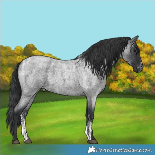 Horse Color:Powder White Blue Roan Rabicano 