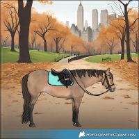 Horse Color:Bay Dun