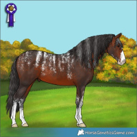 Horse Color:Powder White Bay 