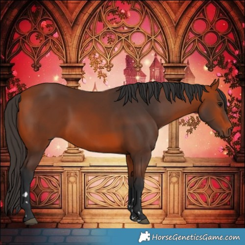 Horse Color:Bay Rabicano 