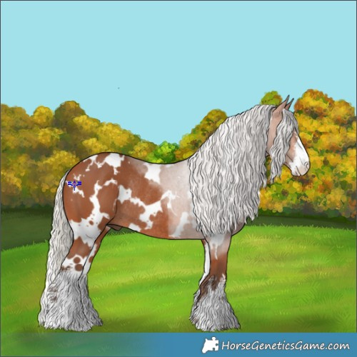 Horse Color:White Spotted Silver Bay Rabicano 