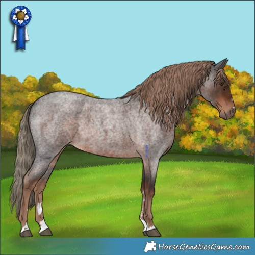 Horse Color:Liver Red Roan 