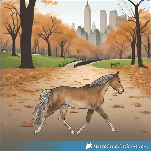 Horse Color:Chocolate Palomino Tobiano