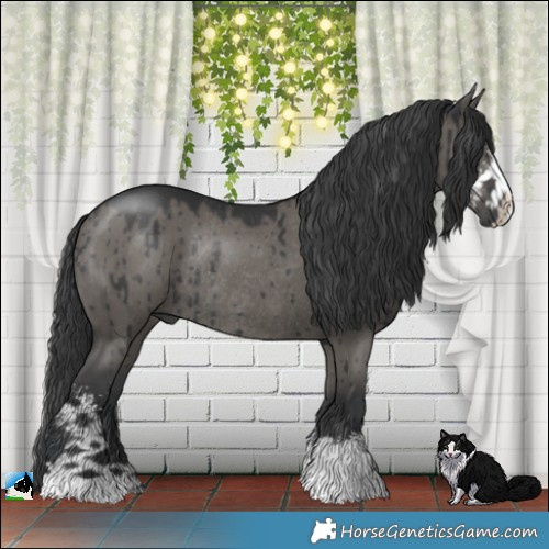 Horse Color:Grullo Mushroom Sabino Rabicano Brindle 
