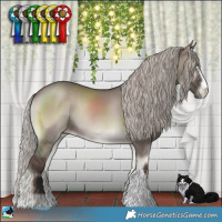 Horse Color:Silver Grullo Onyx Mushroom Sabino Rabicano 