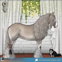 Horse Color:Silver Grullo Onyx Mushroom Sabino Rabicano 