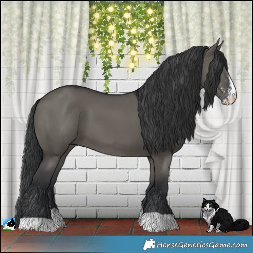 Horse Color:Grullo Sabino 